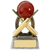 10.5cm Escapade Cricket Award