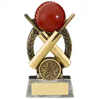 12.5cm Escapade Cricket Award