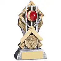 5in Diamond Extreme Cricket Award
