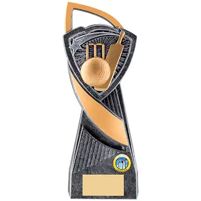 24cm Utopia Silver Cricket Award