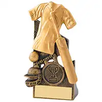 12.5cm Gold Cricket Award