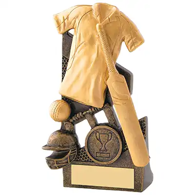 15cm Gold Cricket Award
