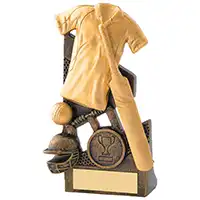 15cm Gold Cricket Award