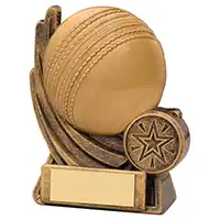 4in Motion Cricket Award
