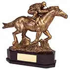 Aintree Deluxe Equestrian Trophy