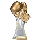 Total KO Boxing Trophy 240mm