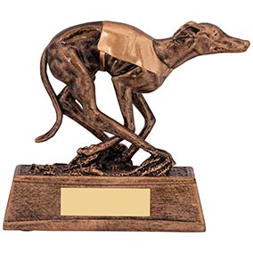 Greyhound Award