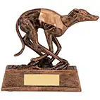 Greyhound Award