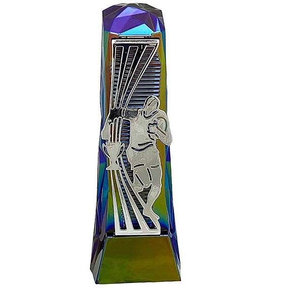 Silver Hydro Henge Rugby Award 23cm