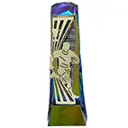 Gold Hydro Henge Rugby Award 23cm