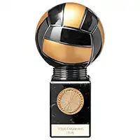 170mm Black Viper Legend Netball Trophy